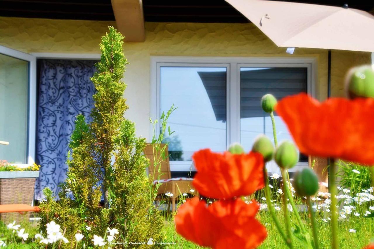 Ferienwohnung Kling Bischofsheim an der Rhön Εξωτερικό φωτογραφία